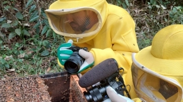 Passeio em campo: Vivência com as abelhas